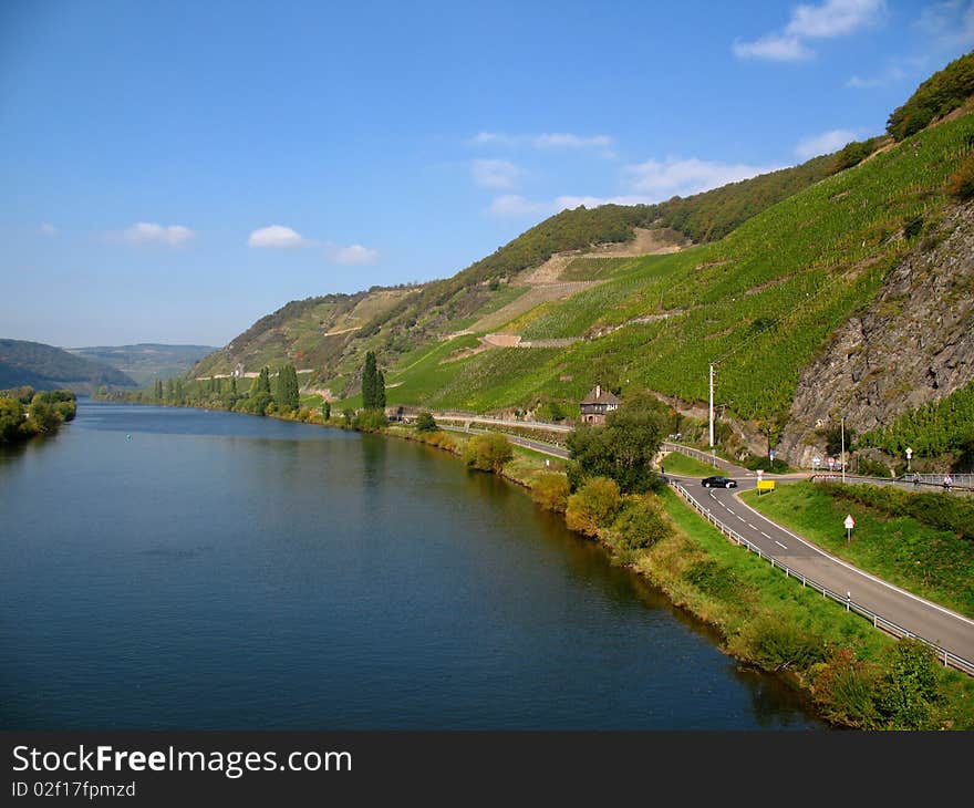 Moselle with vineyards near Trittenheim in Germany