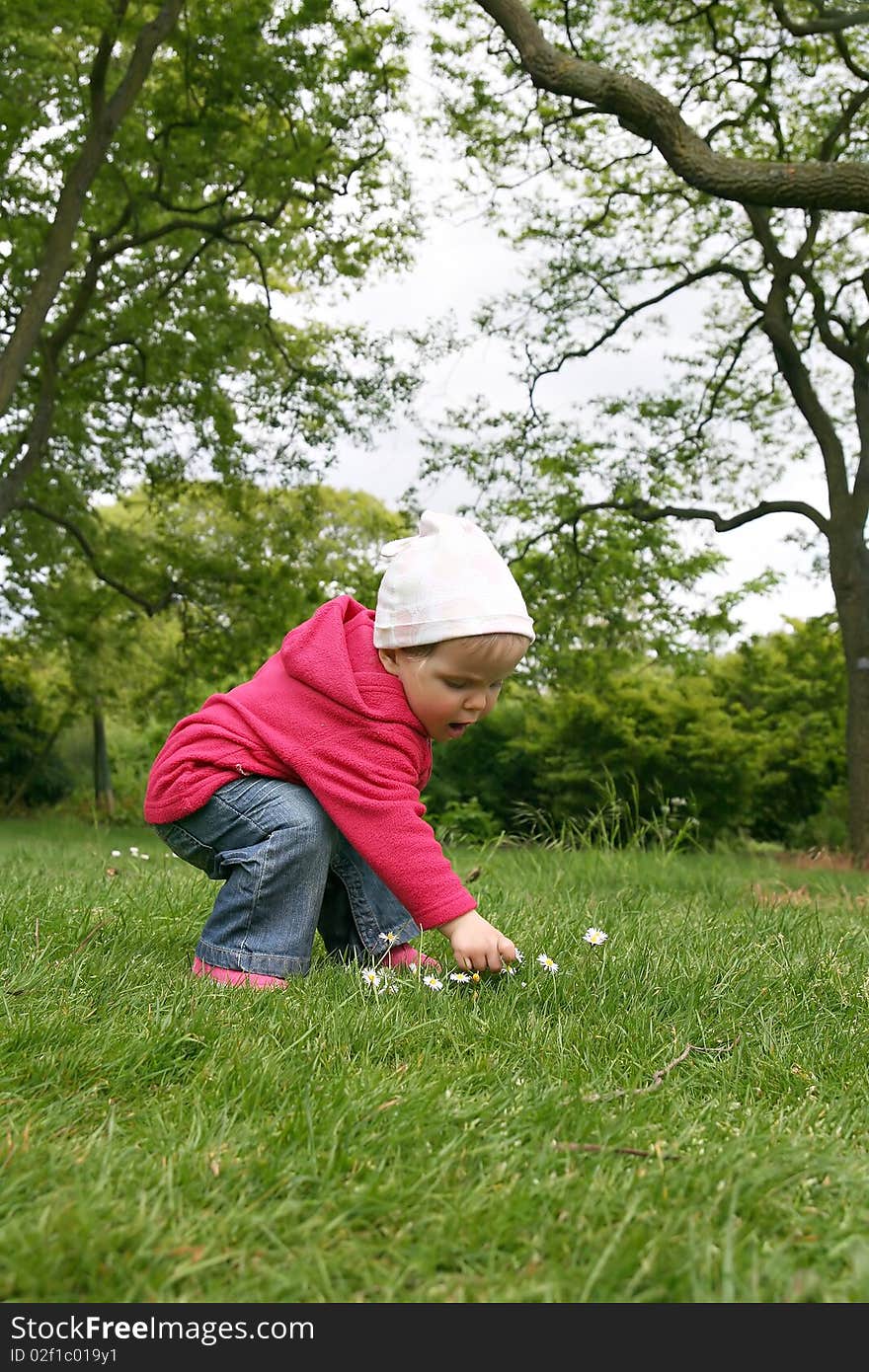 Small girl collecting small flowers in the Kew Garden, London. Small girl collecting small flowers in the Kew Garden, London