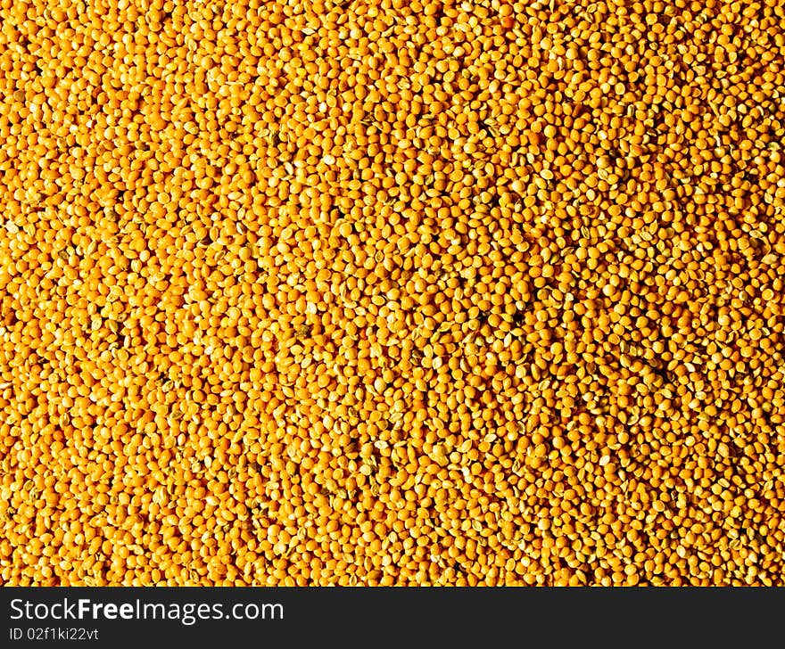 Millet grains sunlight background texture