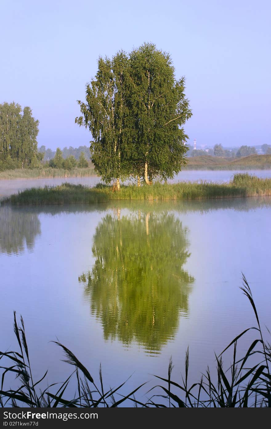 Landscape with an summer tree reflected in a water smooth surface. Landscape with an summer tree reflected in a water smooth surface