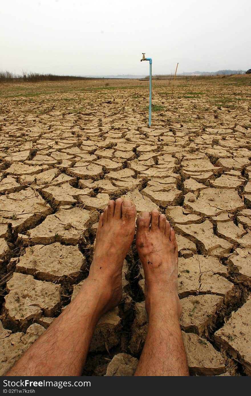 Global crisis crack drought in danger