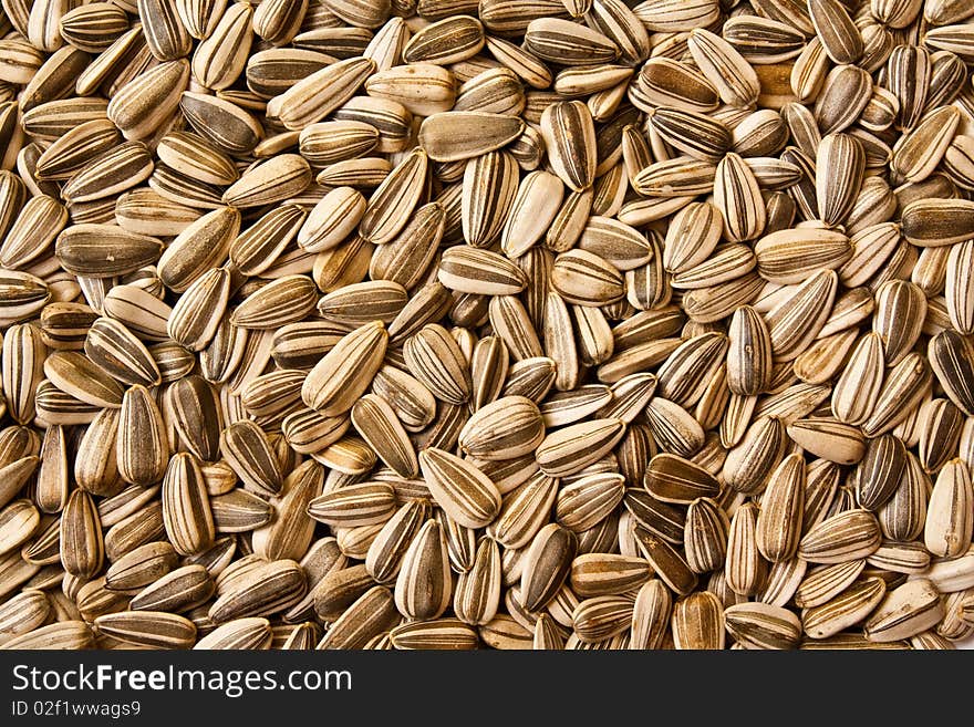 The sunflower seed , use for background design in this topic