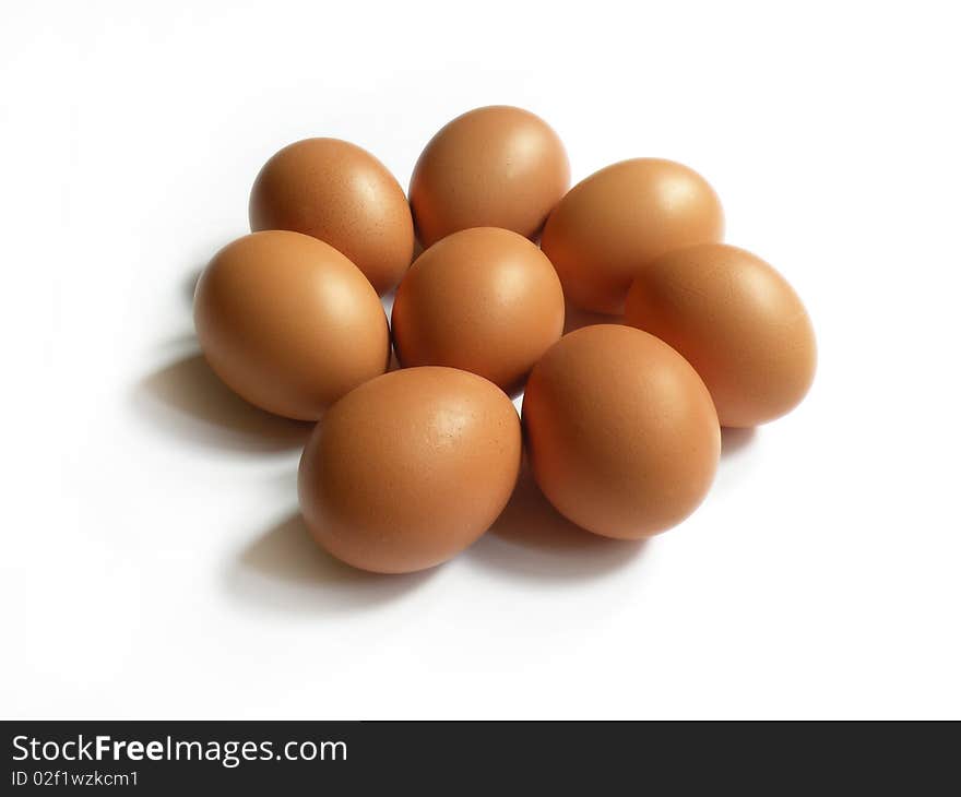 Eggs on a white background