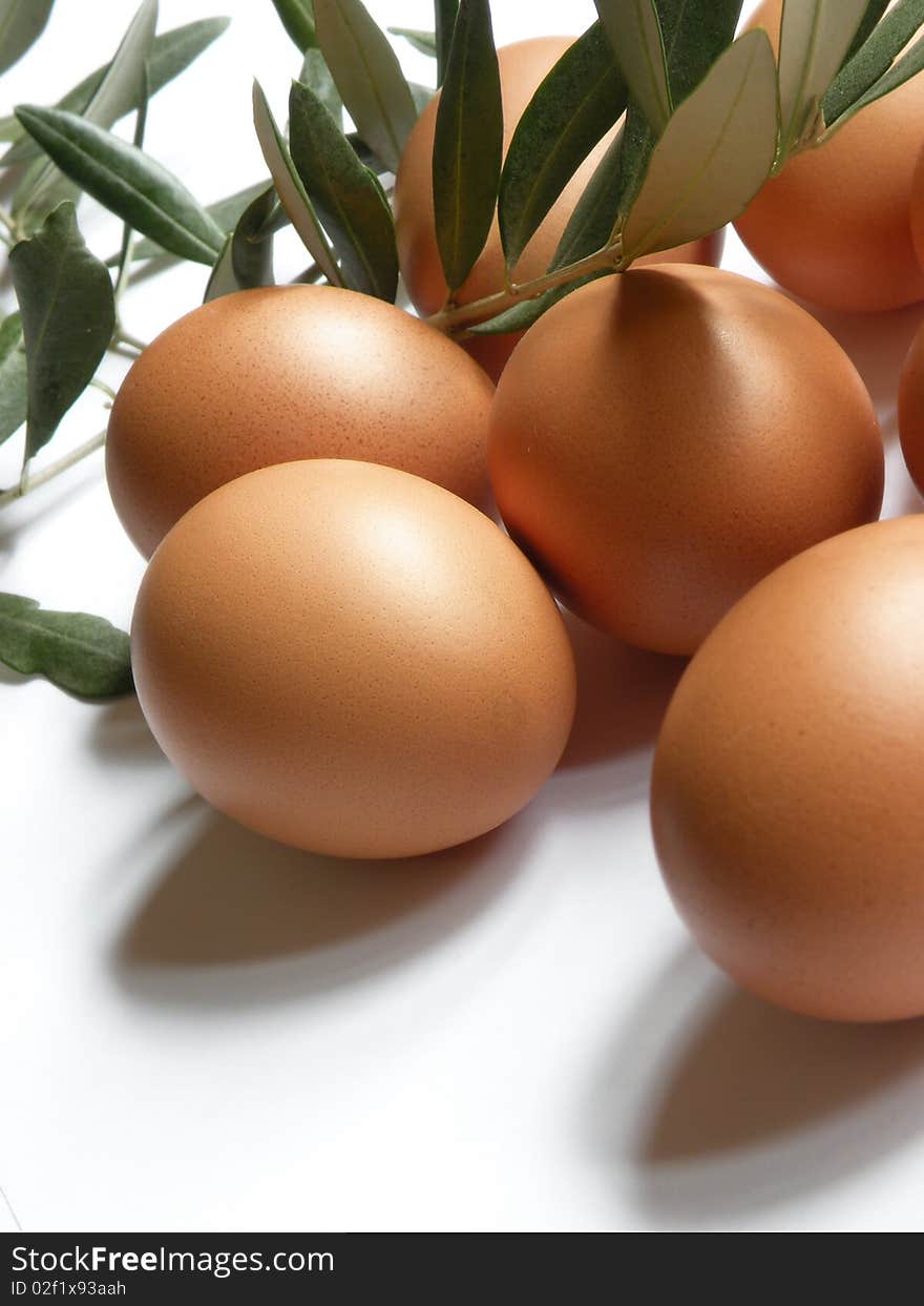 Eggs with olive branches on a white background