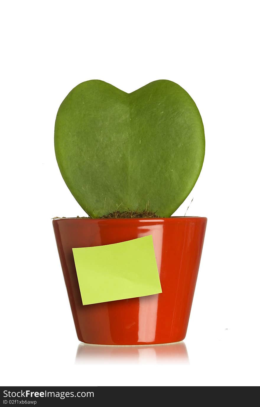 Heart Shape Plant With Post It