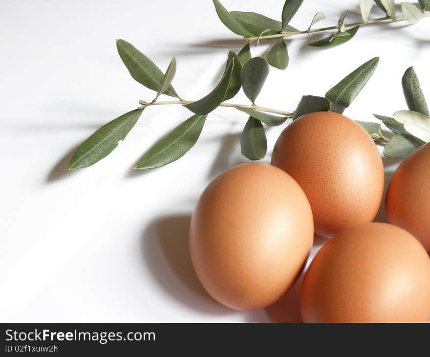 Eggs with olive branches on a white background