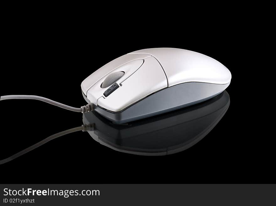 Computer Mouse