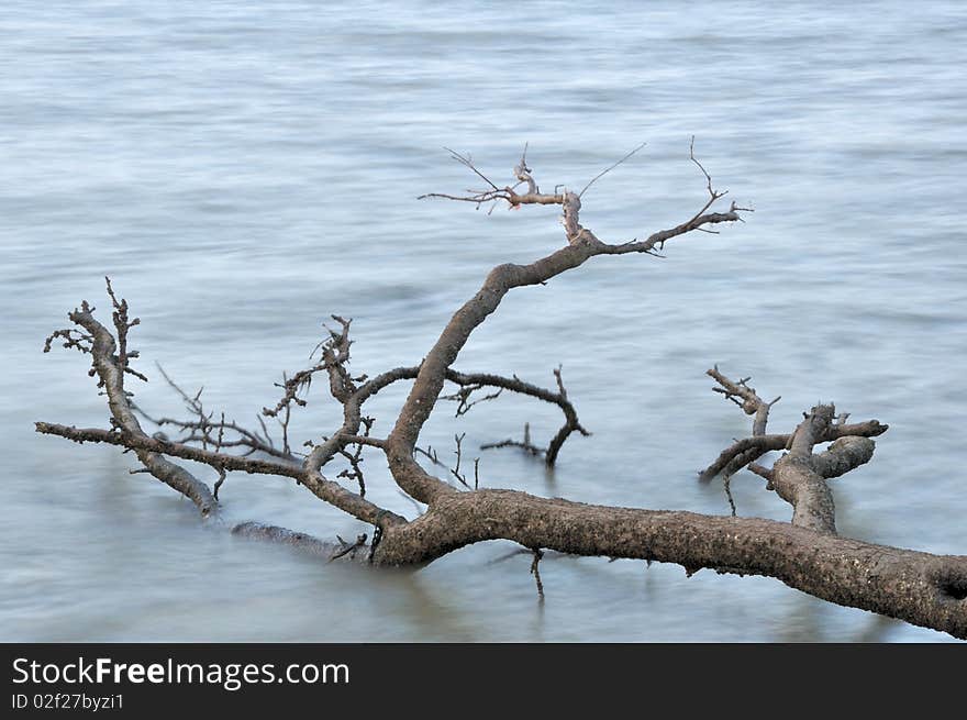 Fallen tree log lying over silky smooth water adds to relaxing mood. Fallen tree log lying over silky smooth water adds to relaxing mood