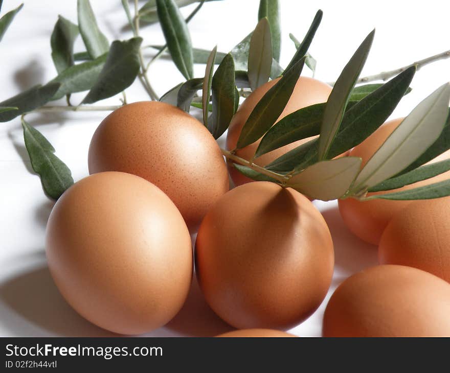 Eggs with olive branches on a white background