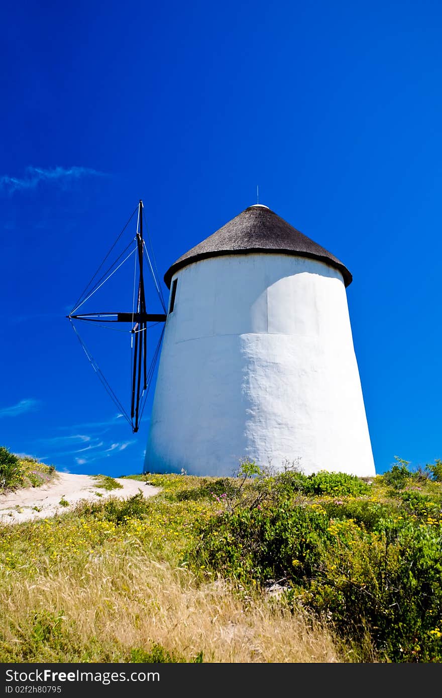 A sandy path surrounded by green flora leading to a windmill. A sandy path surrounded by green flora leading to a windmill