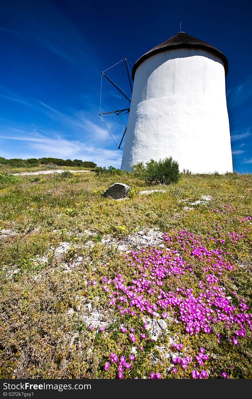 Windmill on a sunny Day