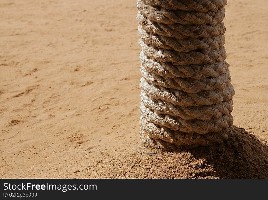 Bandaged palm with rope as buttress of beach reastaurant