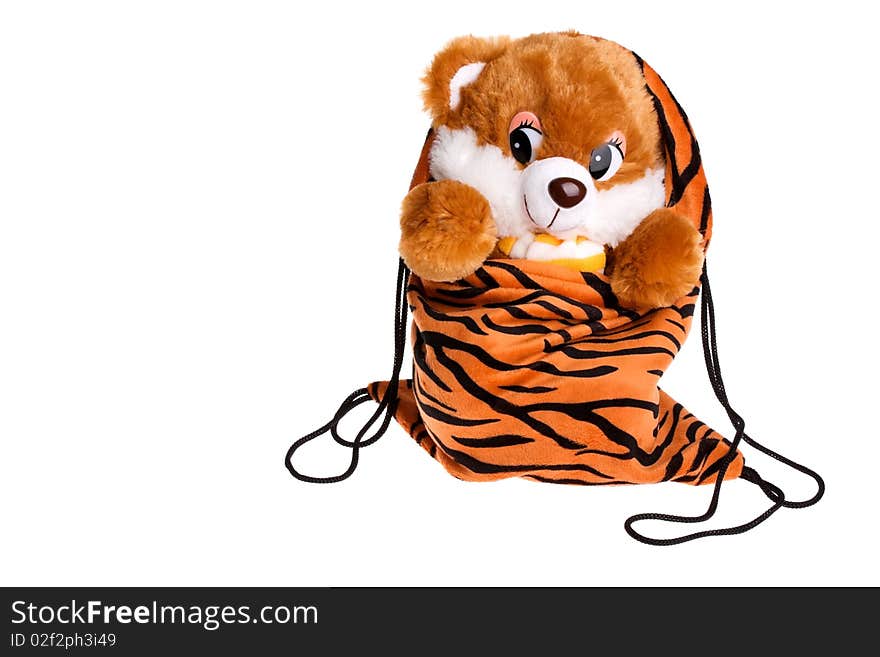 Teddy Bear inside a bag