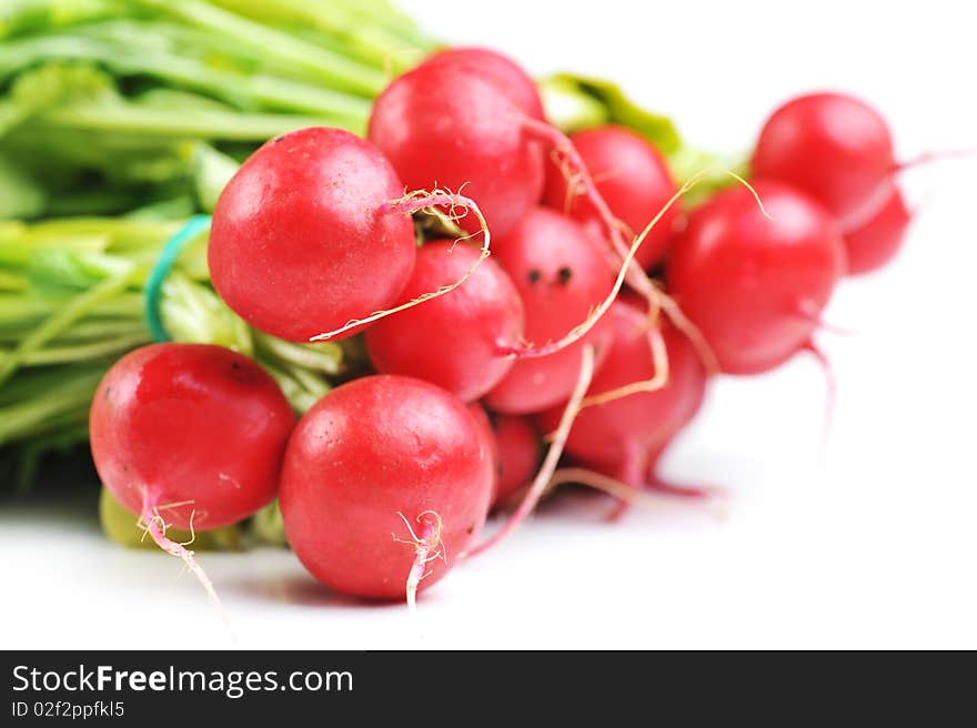 Bunch of red radish with leaves, isolated on white