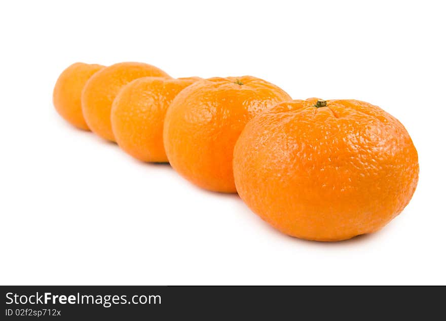 A large group of mandarin isolated on a white background