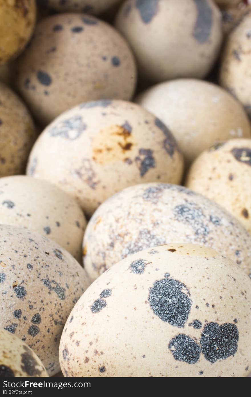 Quail eggs