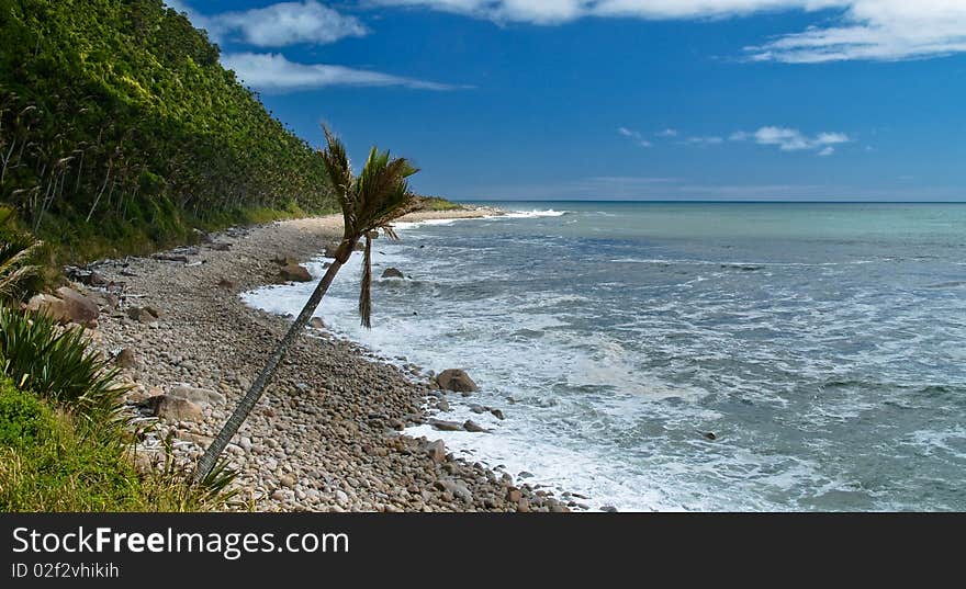 Beach and rainforest on southern island in new zealand