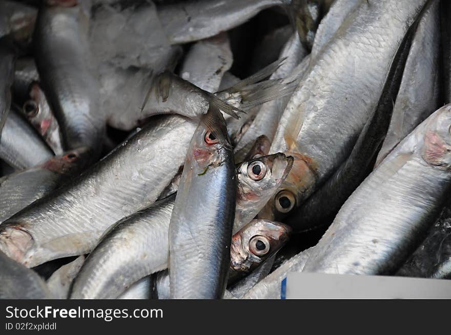 Small silver fish presented at a market stall.