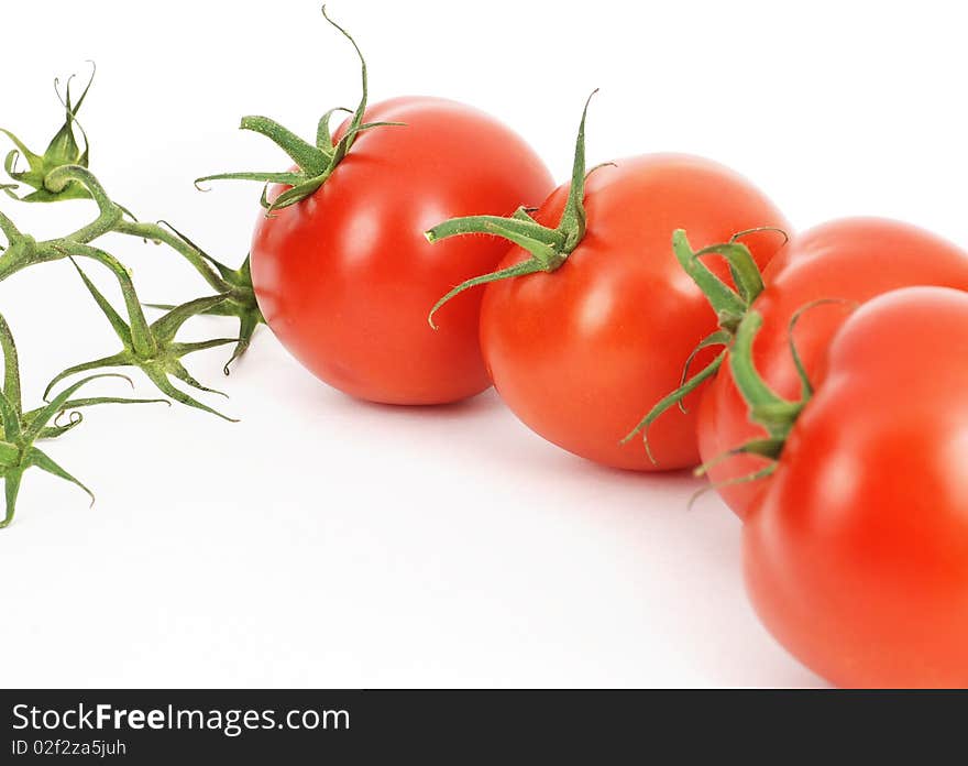 Isolated Fresh Tomatoes