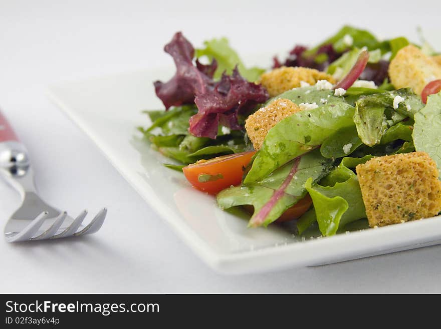 Fresh Garden Salad