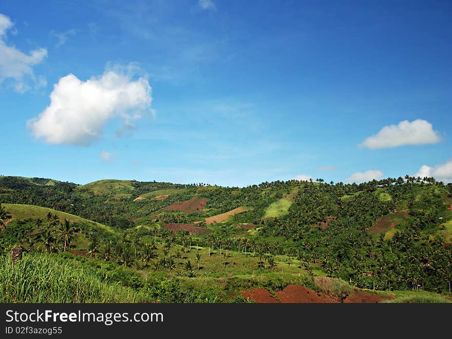 Lush Green Hills over Blue Skies