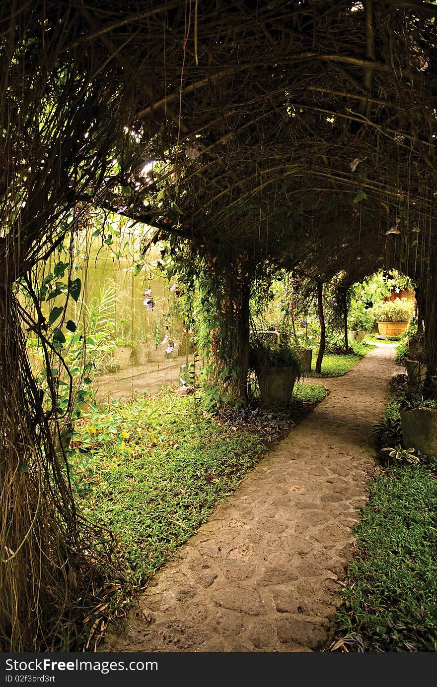 Dark Garden Arbor Trellis Pathway