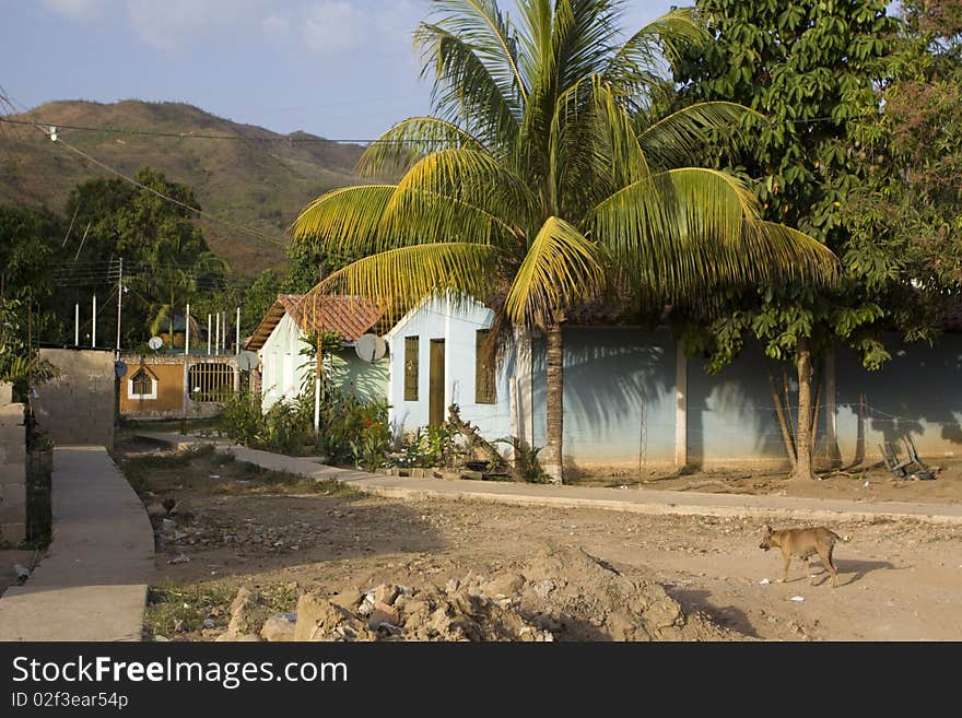 Venezuelan Village