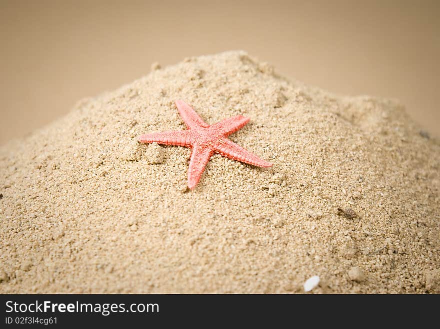 Starfish on sand and brown background. Starfish on sand and brown background