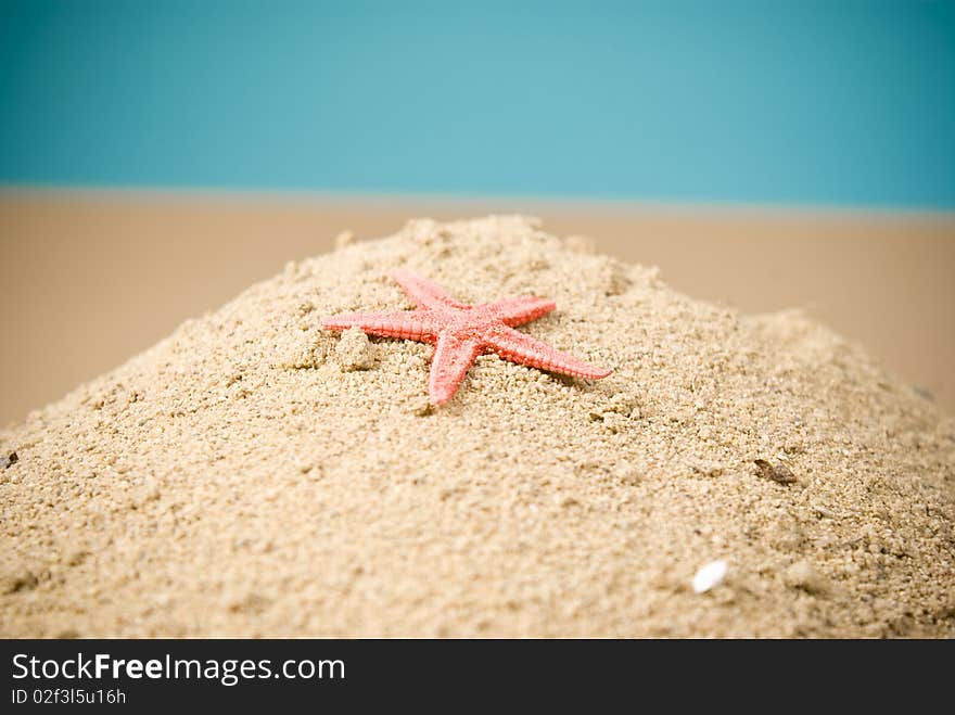 Starfish on sand and brown background. Starfish on sand and brown background