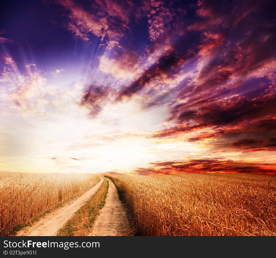 Rural dirt road through the field. Rural dirt road through the field