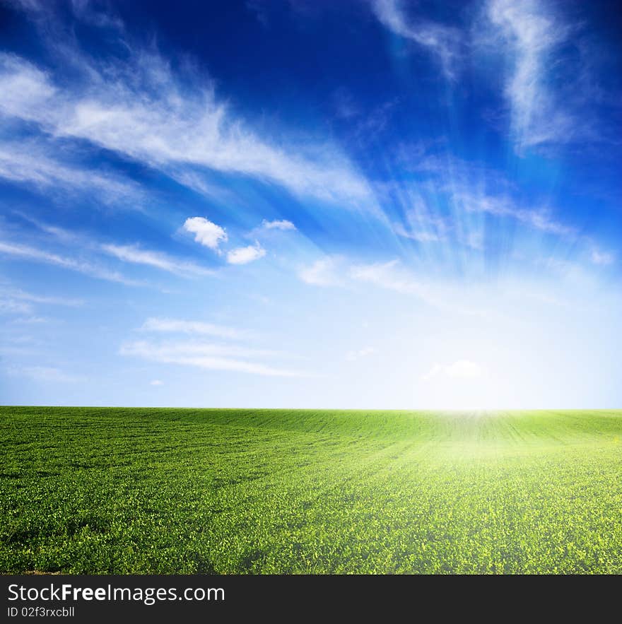 Green meadow under blue sky with clouds. Green meadow under blue sky with clouds