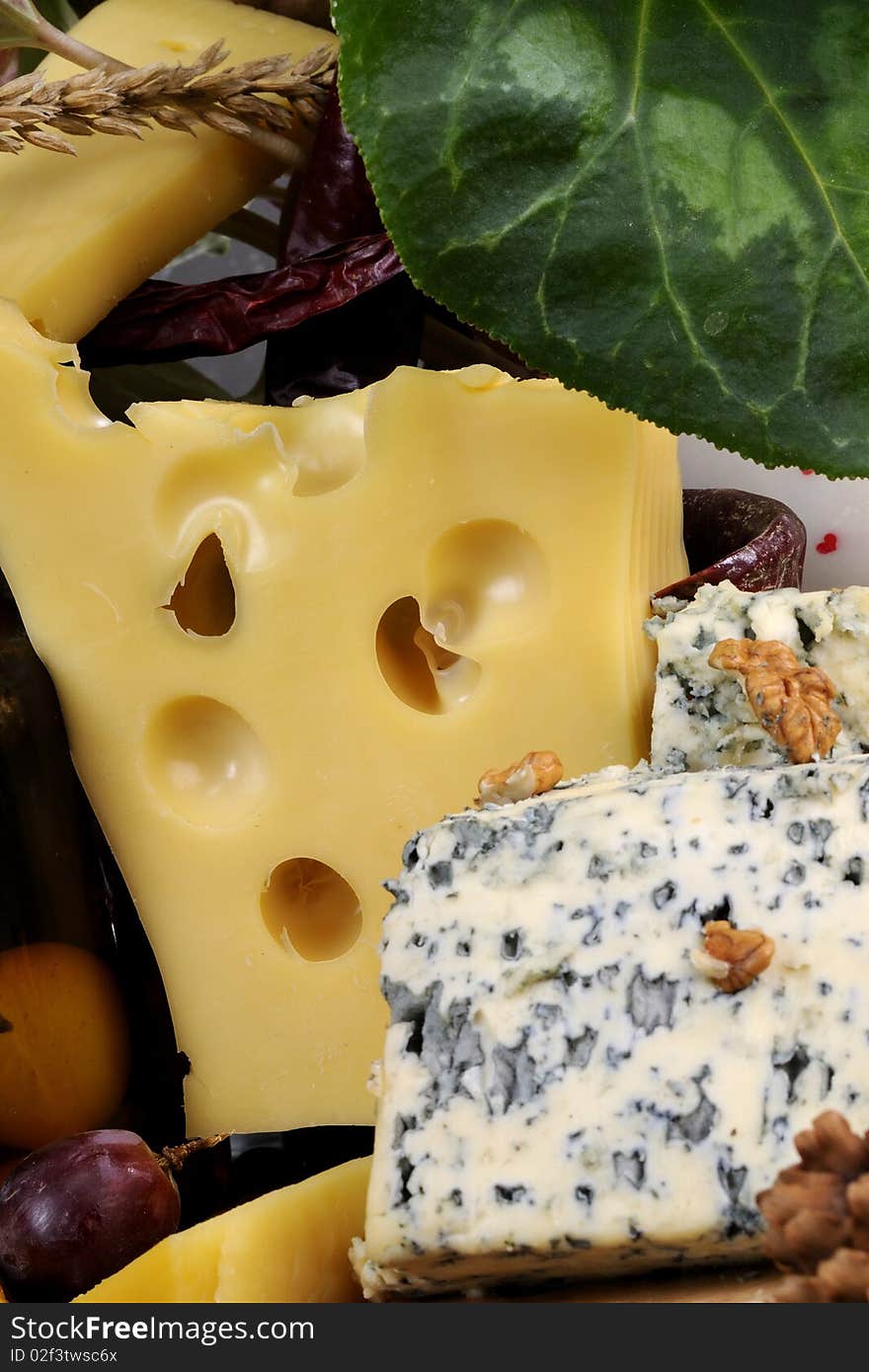 Closeup with traditional cheese studio isolated and plants around