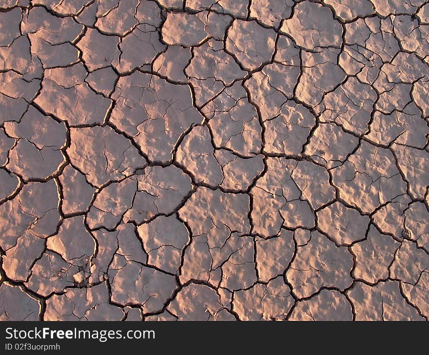 Detail of dry loam earth