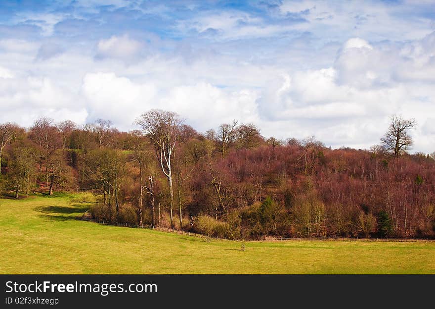 Forest and meadows with a beautiful  sky