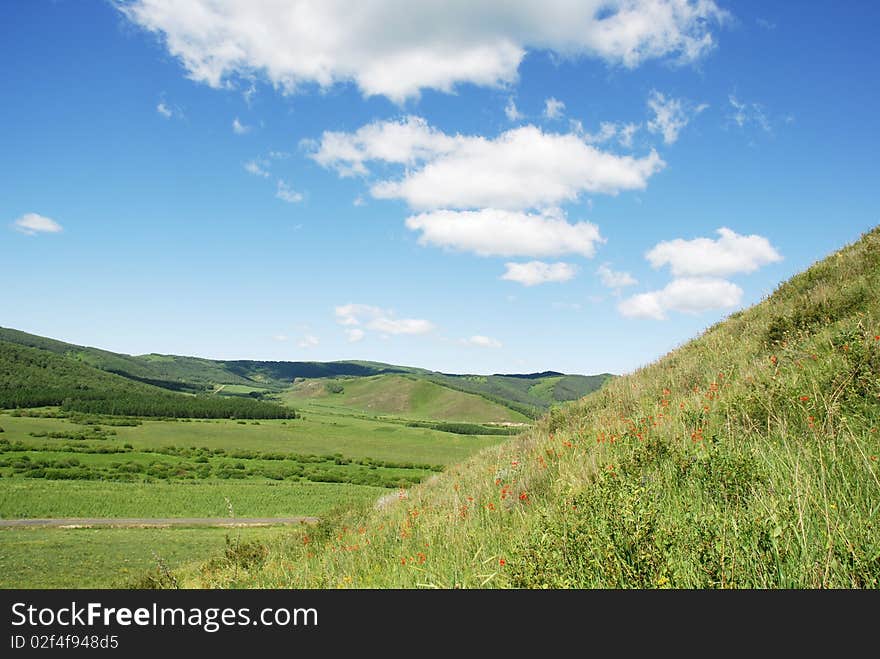 Summer green field and mountains. Summer green field and mountains