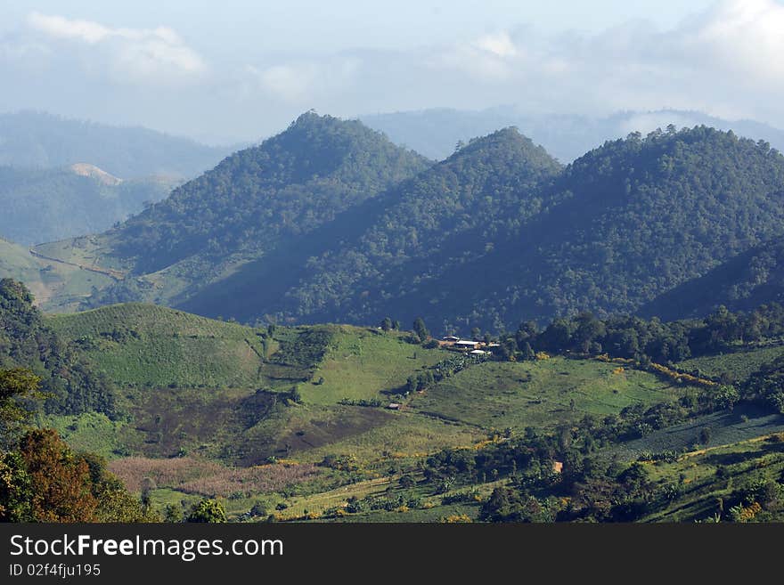 High mountain layer view green forest