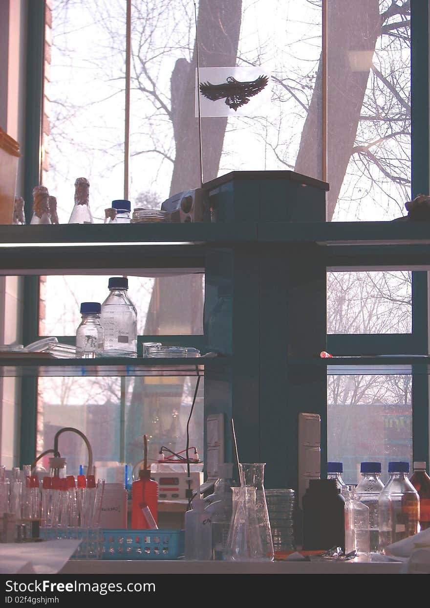 This is inside of laboratory where students are preparing their experiments. On the glass is false bird - this sticker is to scare real birds and rescue them from crash with window. This is inside of laboratory where students are preparing their experiments. On the glass is false bird - this sticker is to scare real birds and rescue them from crash with window.