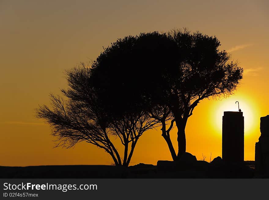 Sunset trees and water source faucet silhouettes