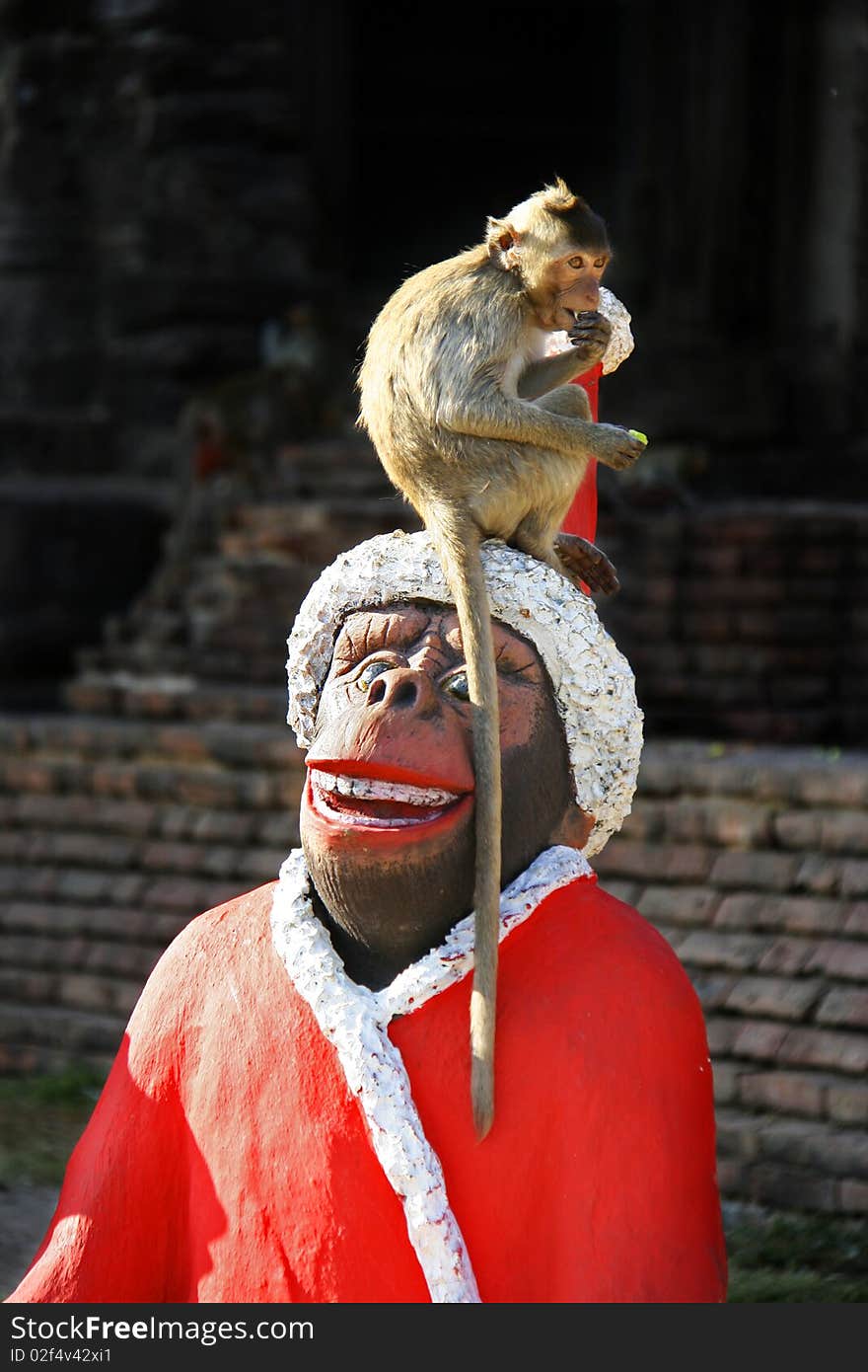 A monkey enjoys the annual Monkey Buffet Festival at the Pra Prang Sam Yot temple in Lopburi province. More than 2,000kg of fruits and vegetables were used during the festival. A monkey enjoys the annual Monkey Buffet Festival at the Pra Prang Sam Yot temple in Lopburi province. More than 2,000kg of fruits and vegetables were used during the festival.