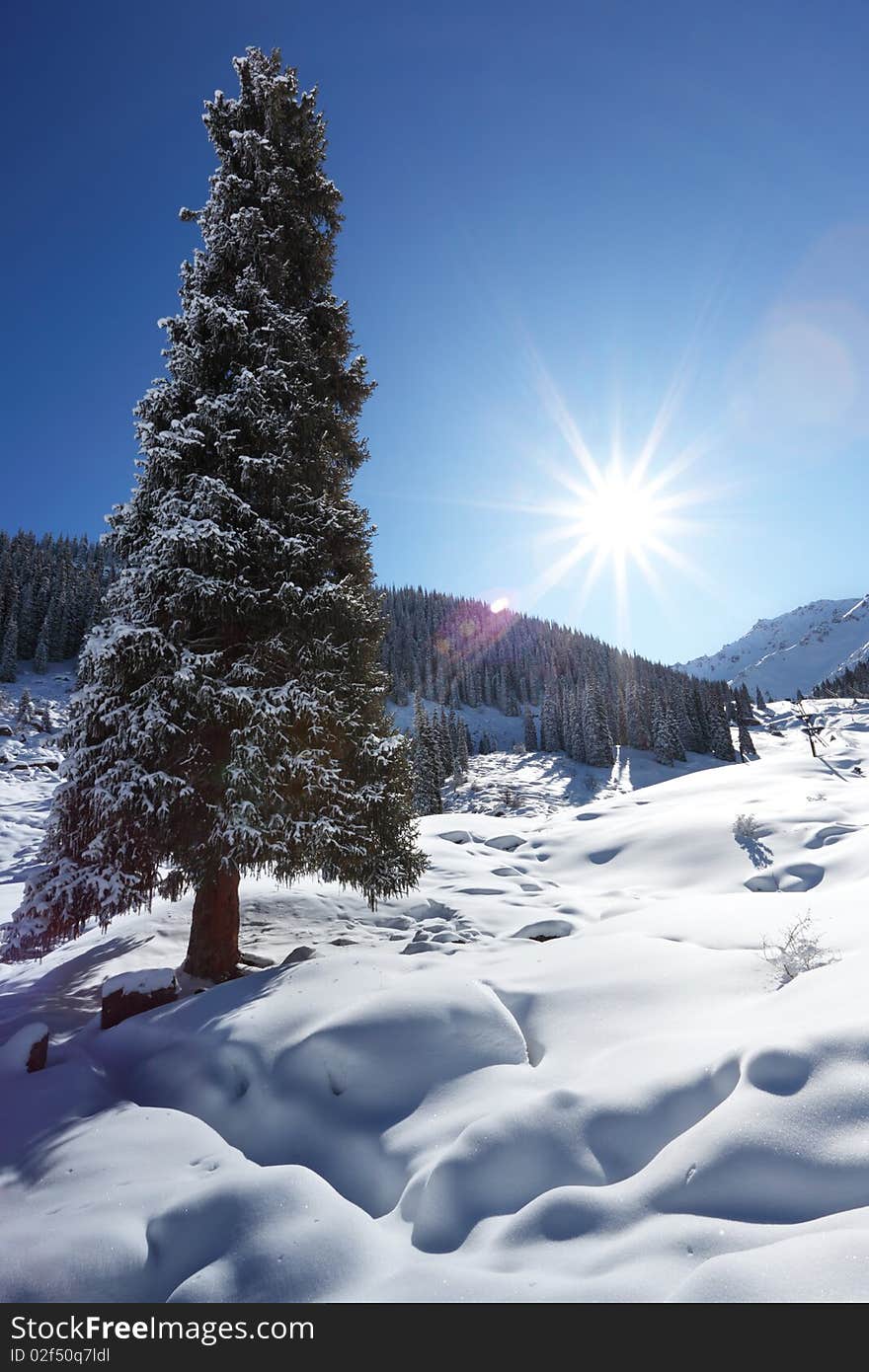 The winter sun over mountains