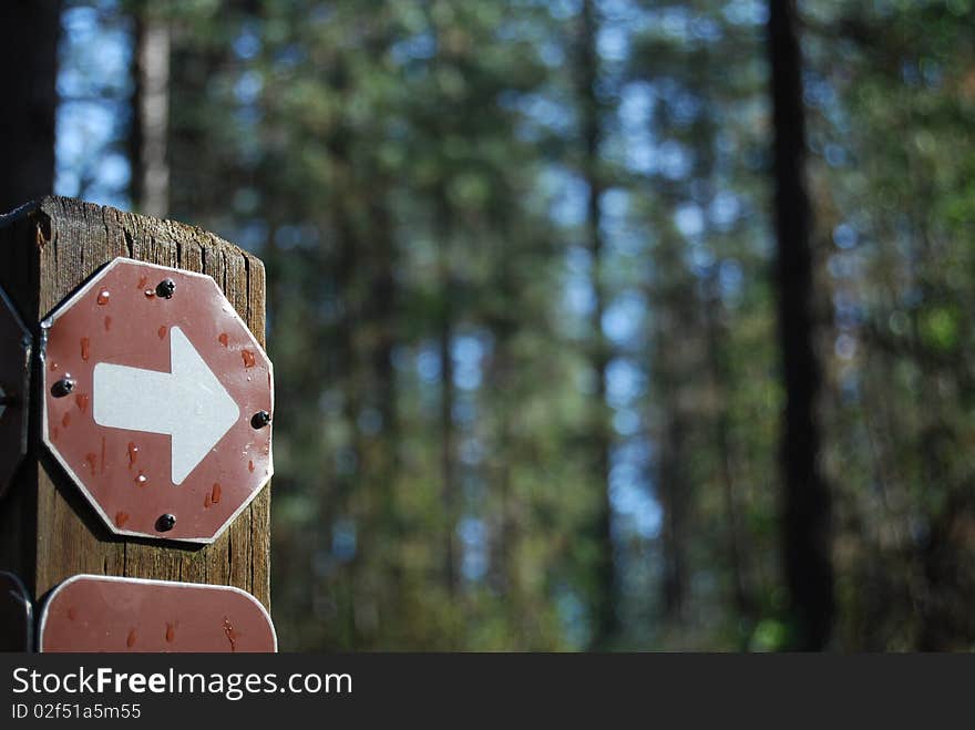 Arrow on a hiking trail in a forest. Arrow on a hiking trail in a forest.