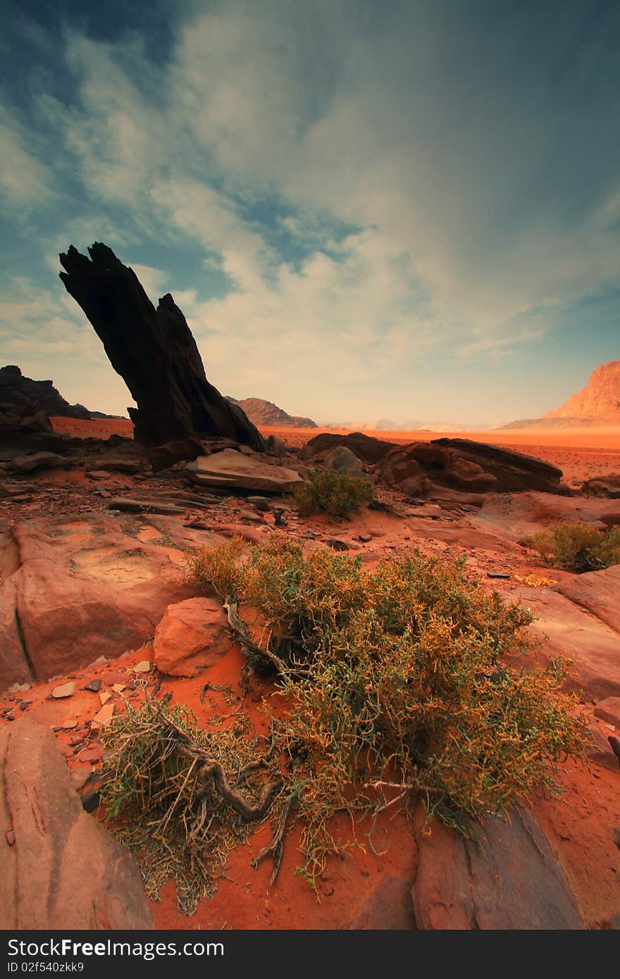 Desert Wadi Rum in Jordan