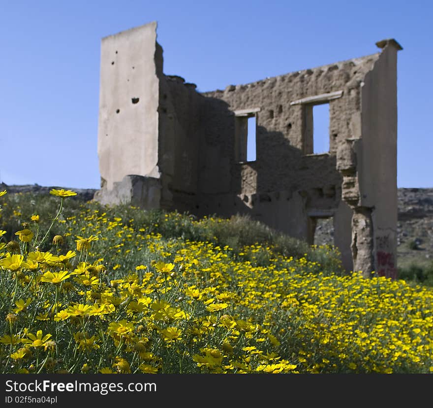 Abandoned house in Spring