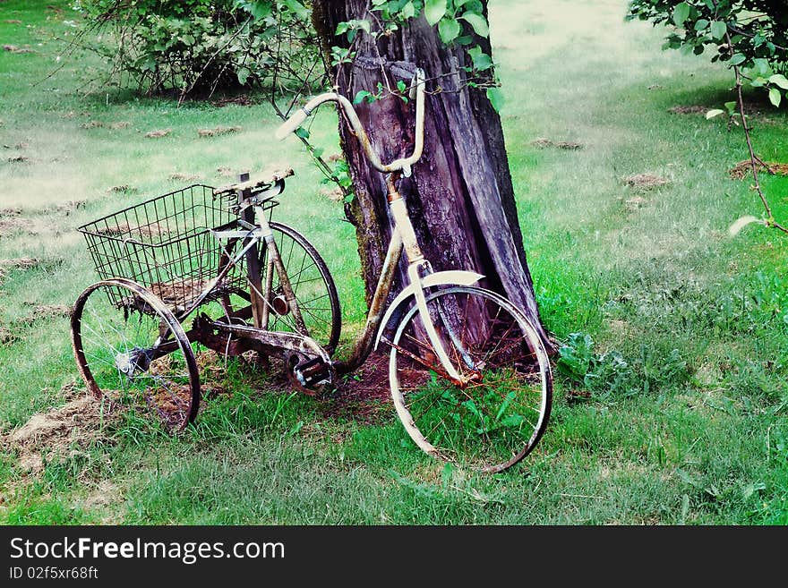 Vintage Bicycle