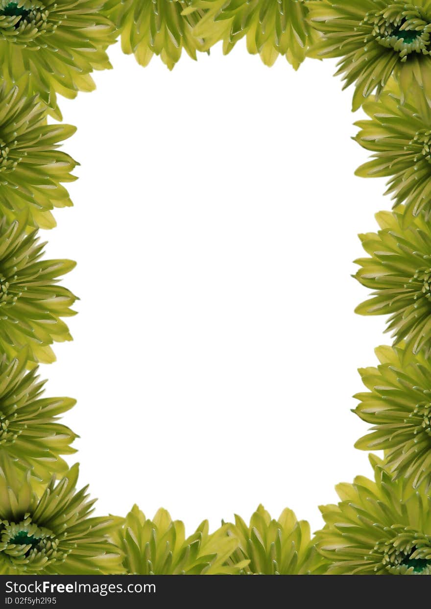 Frame from yellow green flowers with empty space