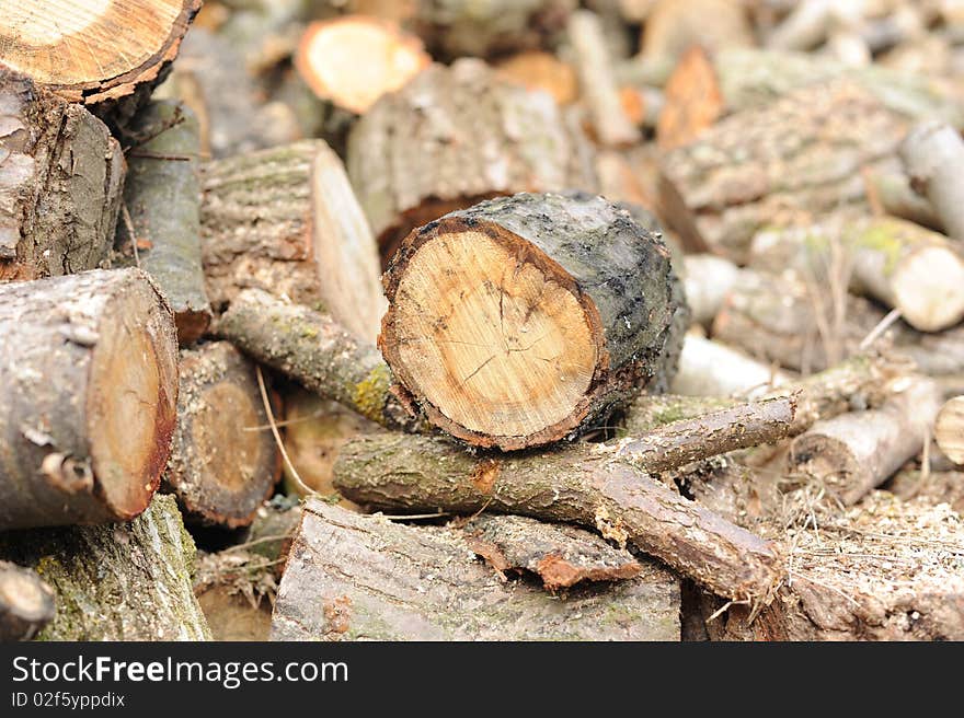 Wood in pieces - Stack of firewood