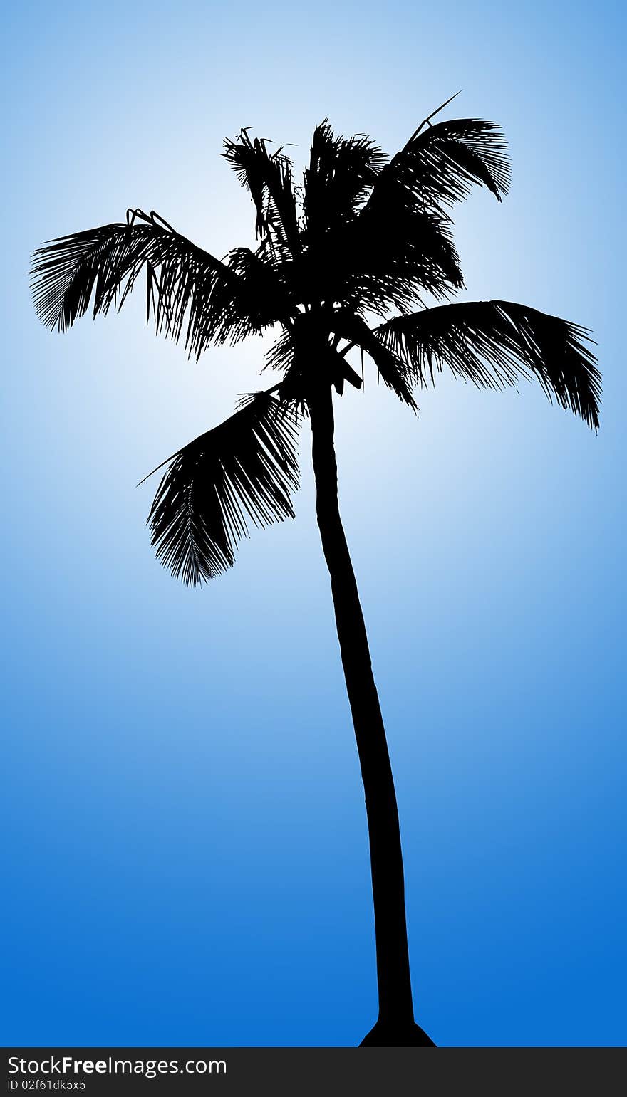 Silhouette of palm on blue gradient background