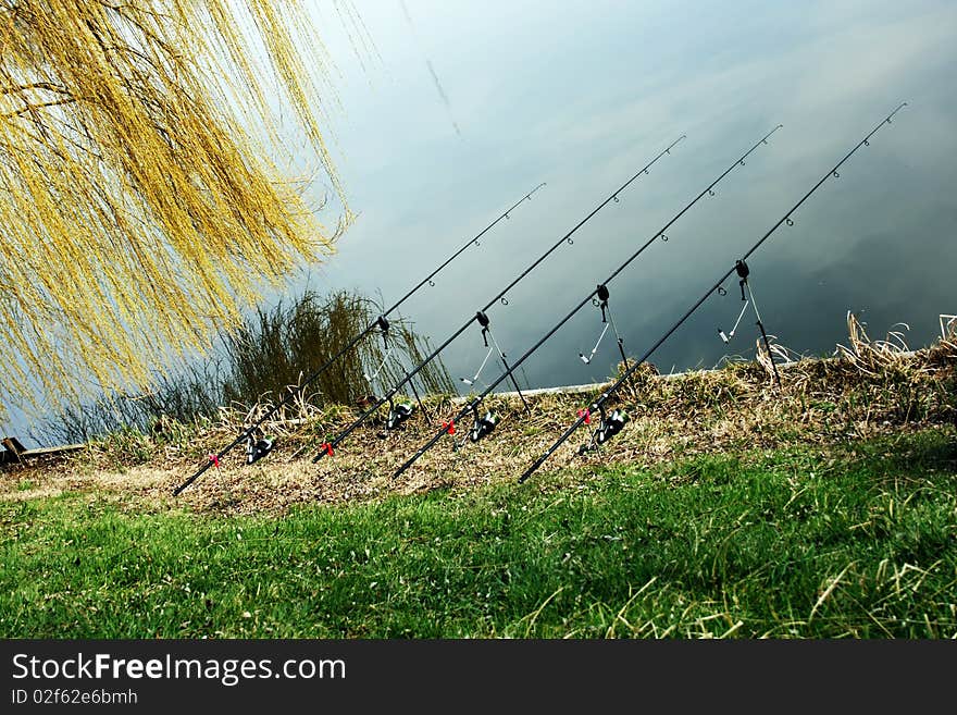 Four angles in the river. Four angles in the river