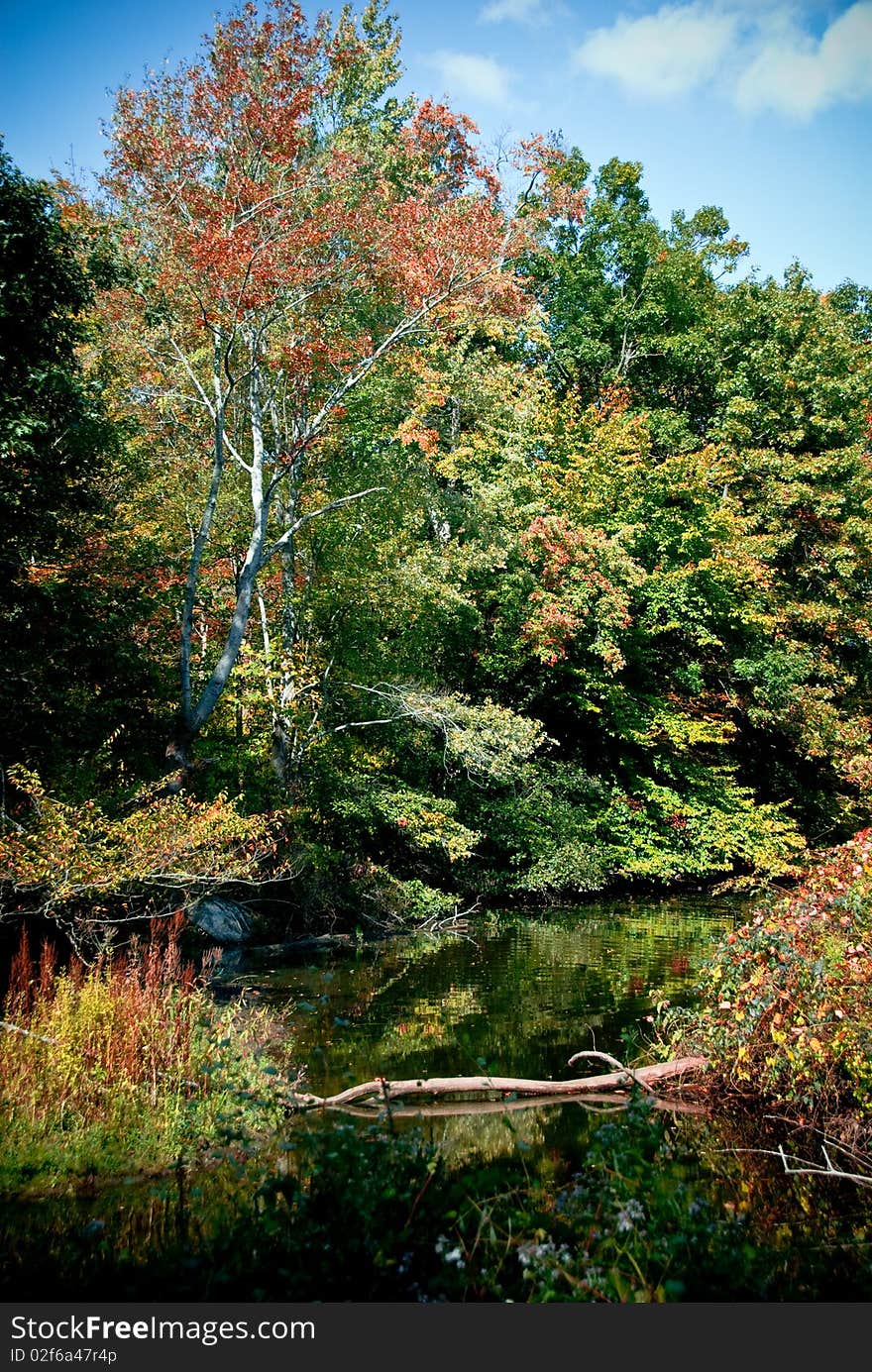 An autumn landscape scene of fall trees and a lake with a reflection. An autumn landscape scene of fall trees and a lake with a reflection.