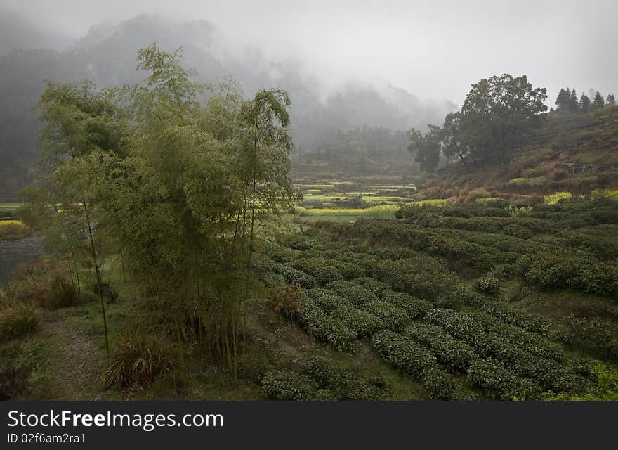 A landscape photo of a foggy countryside near Wuyuan, China. A landscape photo of a foggy countryside near Wuyuan, China